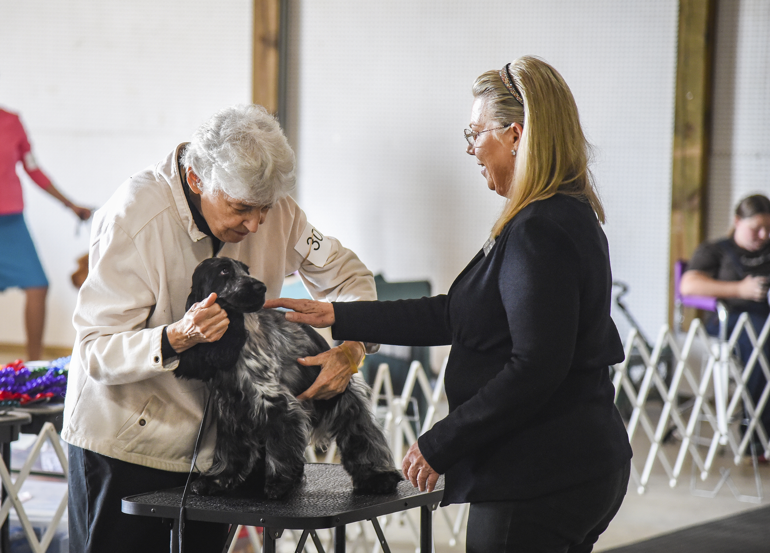 Paul Bunyan Dog Training Association set hold 12th annual dog show - Vimarsana News